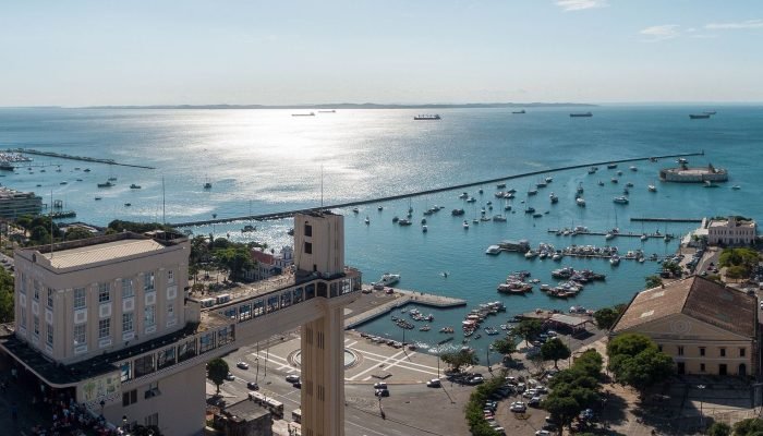 41036430972_0313eeb34c_o